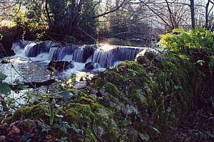 Hotel with river in the garden